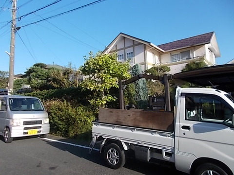 DSCN0019