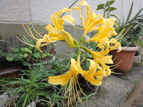 DSC00057