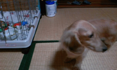 ゆず・・イヤイヤ!
