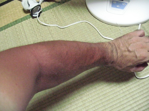14 天橋立と伊根 036