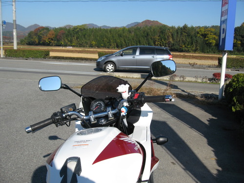 嵐山 021