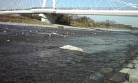 PA0_0628s