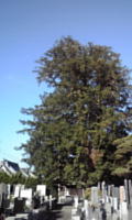 PA0_0604s