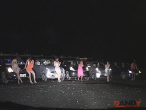絶対ヤれるカー援交ビーチ 065
