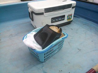 resize1093