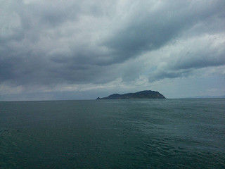 resize1116