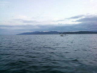 resize1187