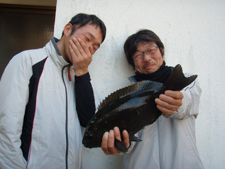 �ޥ��뷻����������