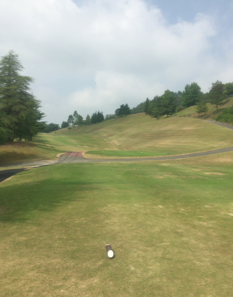 golf1