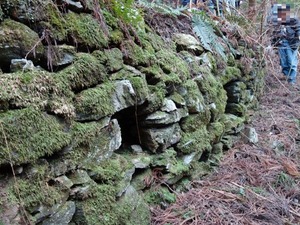 s_DSC01703
