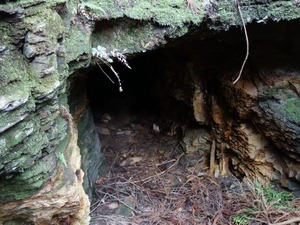 s_DSC01679