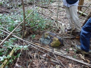 s_DSC01661