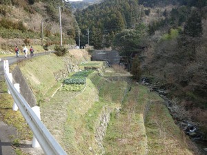 s_DSC01649
