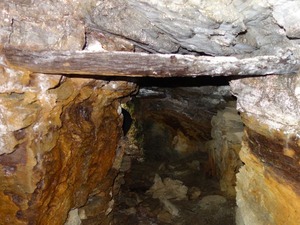 s_DSC01686