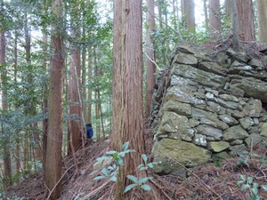 s_DSC01693