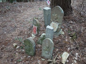 s_DSC01750