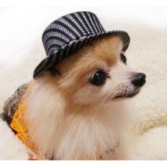 inu