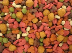 poisonfood