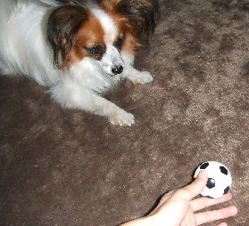 228efc7a.jpg