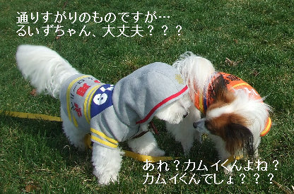 c9d0d5b8.jpg