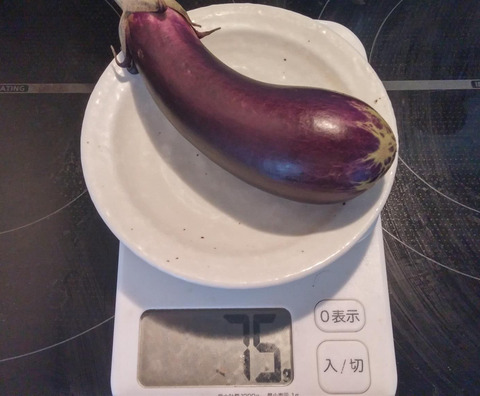 なす1009