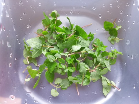 20190510_151711
