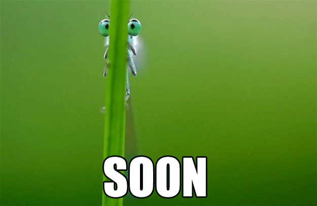 soon32