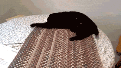 cat009