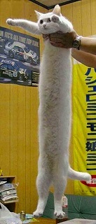 765960