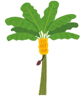 tree_banana