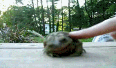anigif_enhanced-buzz-10702-1341004635-12