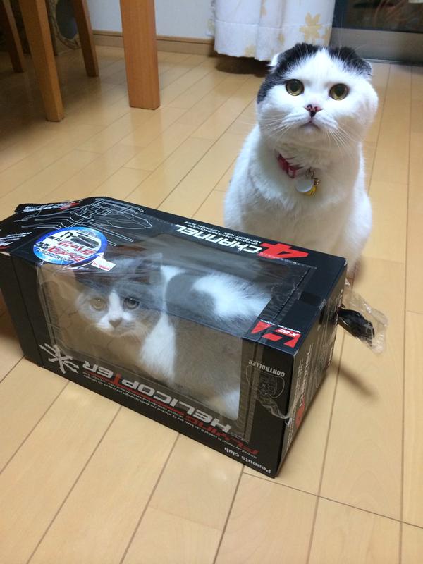 hako1