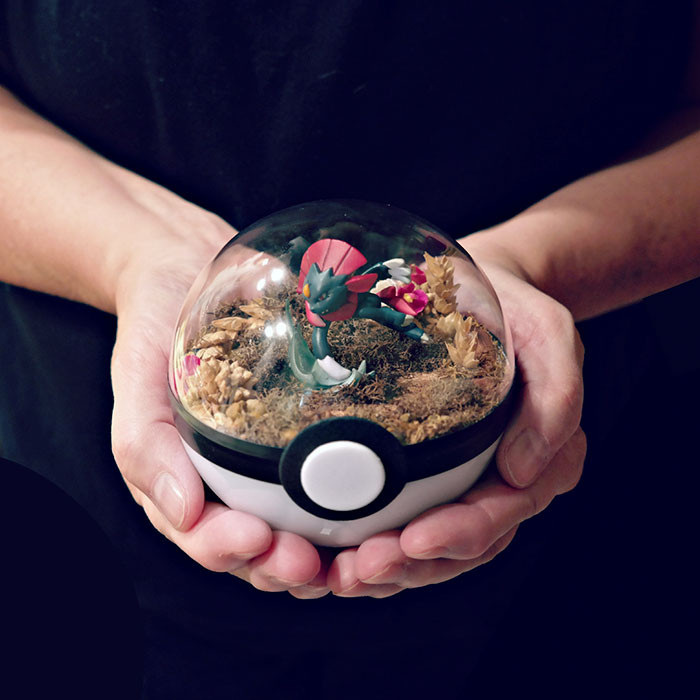 poke-ballthe-vintage-realm-57f3aba57d078__700