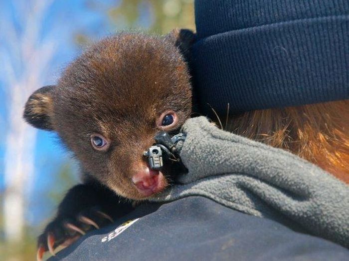 aw10