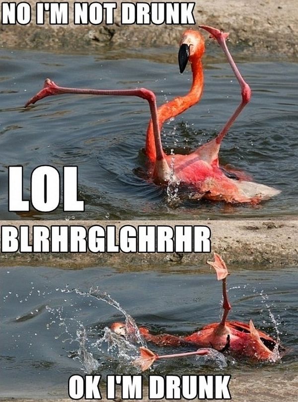 you