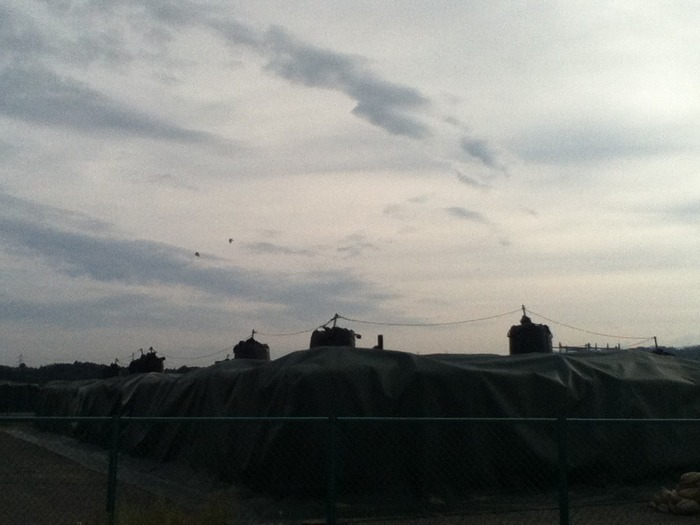 51 蝶々とビニールシート