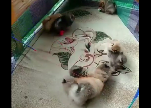 転職