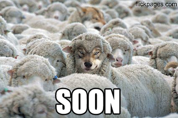 soon37