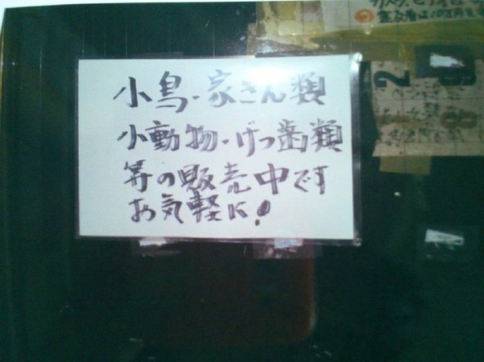 o0800059913316005337