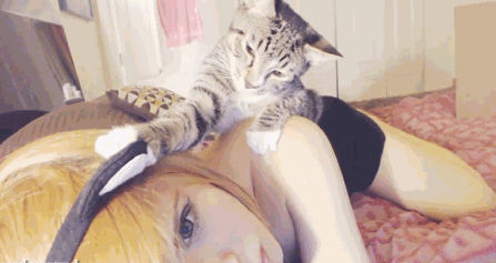 パンチラ part39 [転載禁止](c)bbspink.com [転載禁止]©bbspink.com	fc2>1本 YouTube動画>5本 ->画像>3329枚 