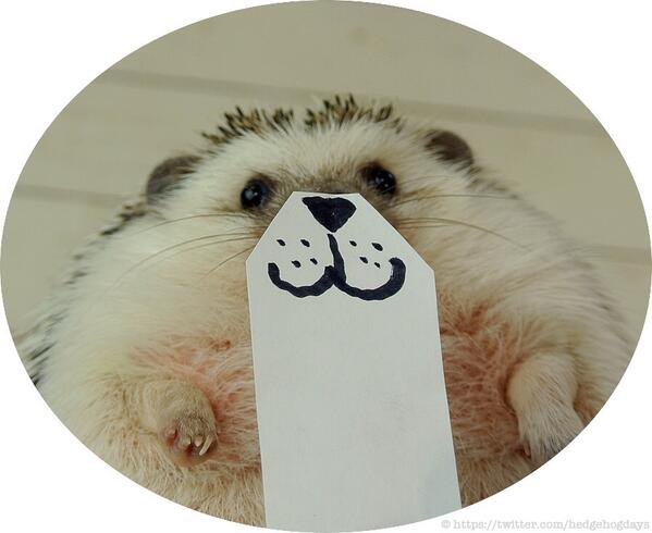 maru2