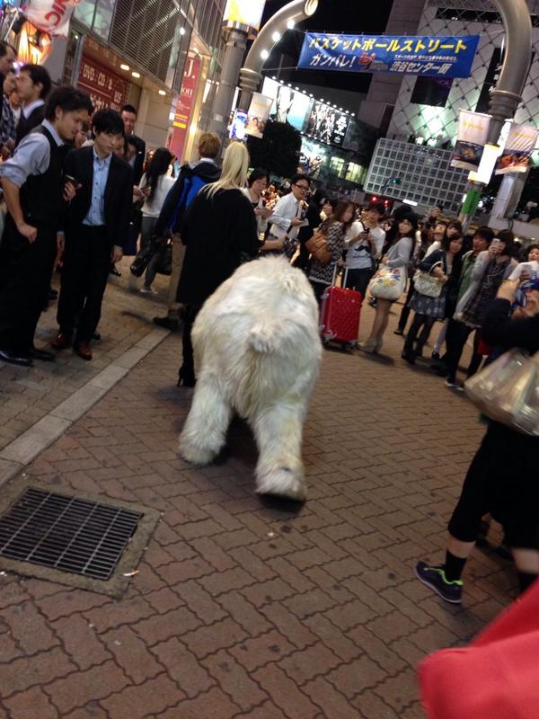 sirokuma2