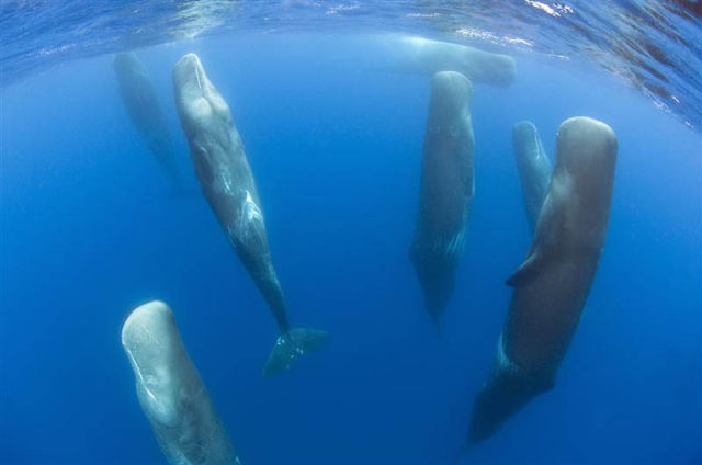 2012s_most_spine_tingling_photos_so_far_640_42