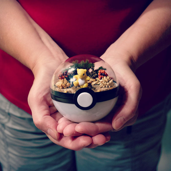 poke-ballthe-vintage-realm-57f3ab87b5f26__700
