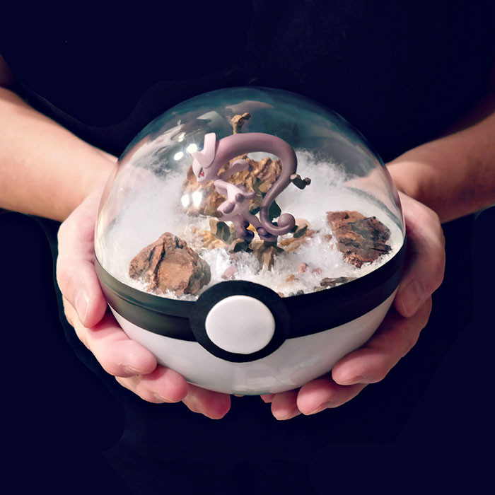 poke-ballthe-vintage-realm-57f3ab912065f__700