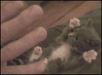 おいしそうな脚の女子高生199脚目 [転載禁止]©bbspink.com	YouTube動画>5本 ->画像>2754枚 