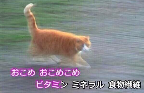 okome