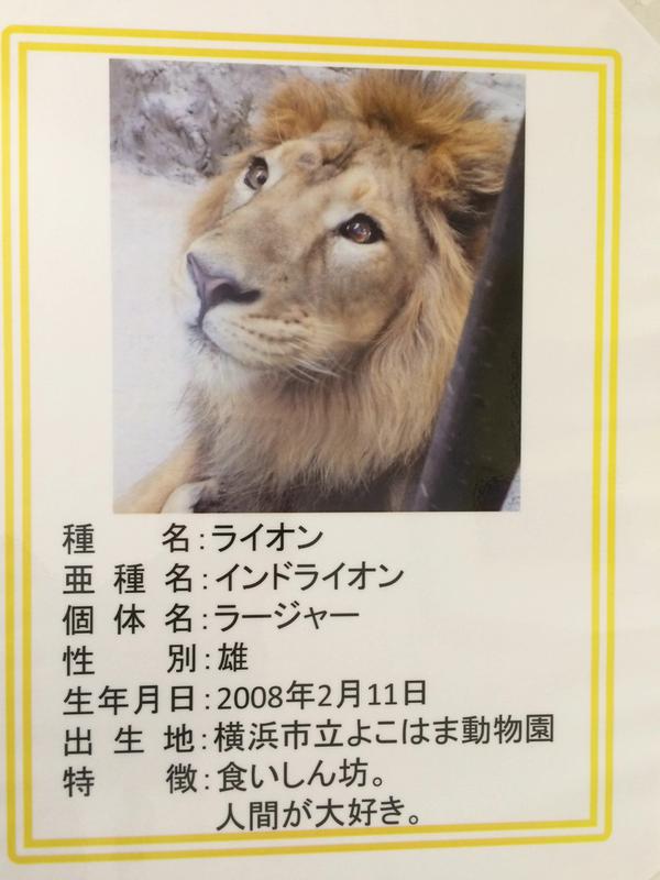今日保存した最高の画像を転載するスレ 364 [転載禁止]©bbspink.com	xvideo>1本 fc2>1本 YouTube動画>4本 dailymotion>1本 ->画像>1325枚 