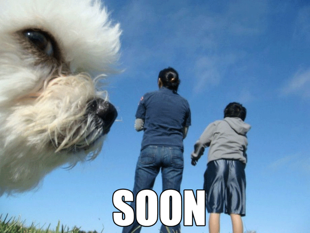 soon98
