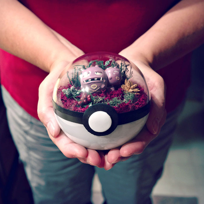 poke-ballthe-vintage-realm-12-57f3a83e350a5__700